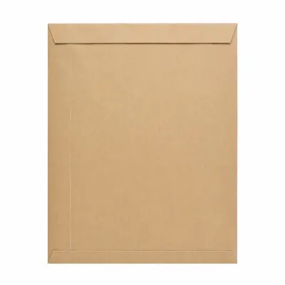 ظرف بني لاصقة 12 × 10 بوصة (120 جم)