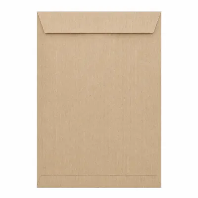 ظرف بني لاصقة 15 × 10 بوصة (120 جم)